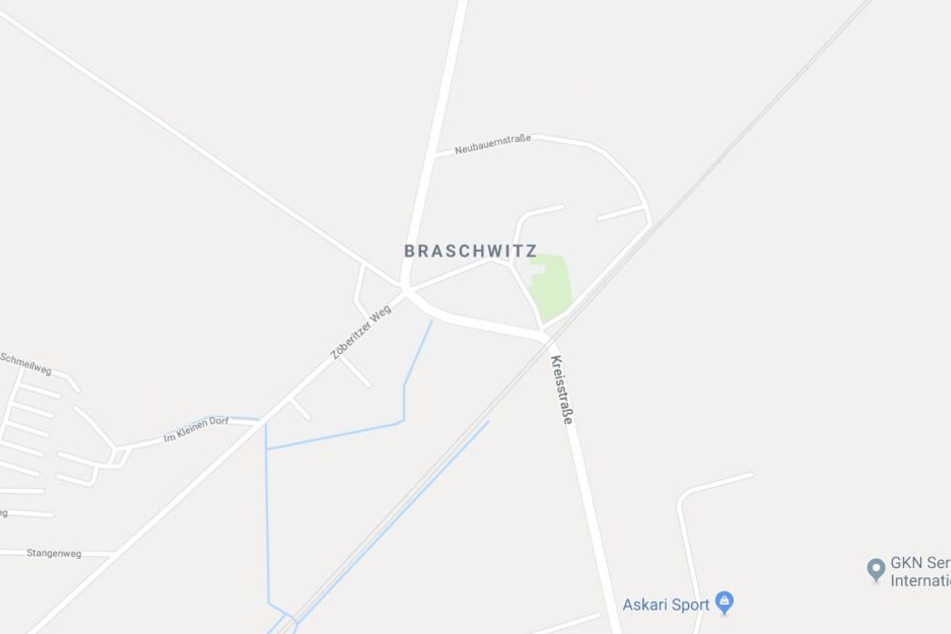 Der Vorfall ereignete sich am Bahnübergang in Braschwitz bei Halle (Saale).