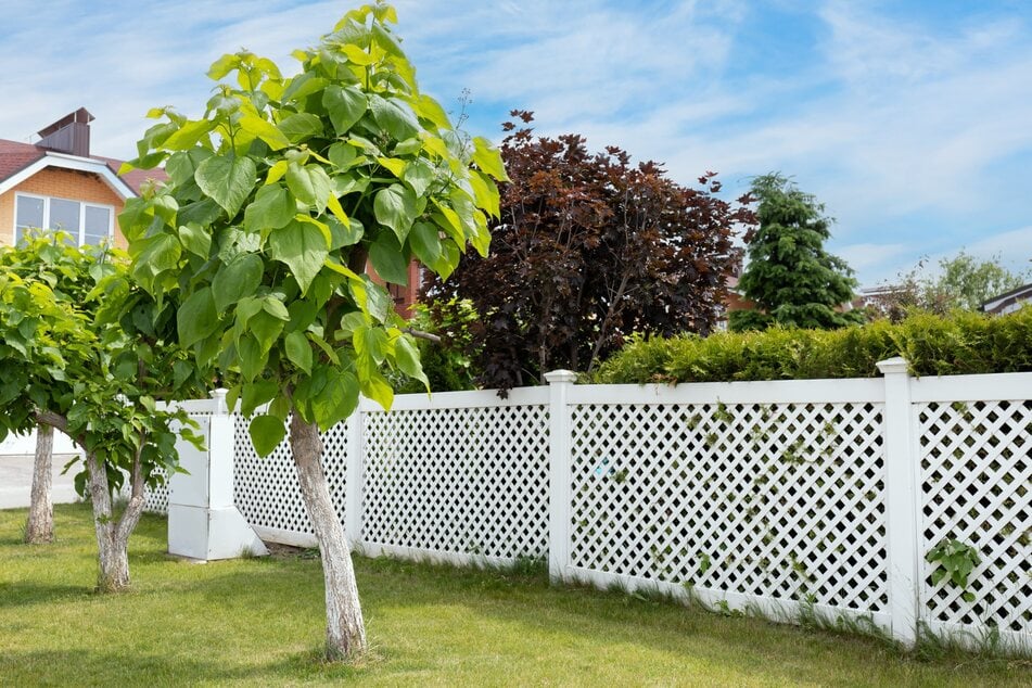 Dank stabiler Gartenzäune und Einfriedungen ist der Garten ebenfalls vor Wildschweinen sicher.