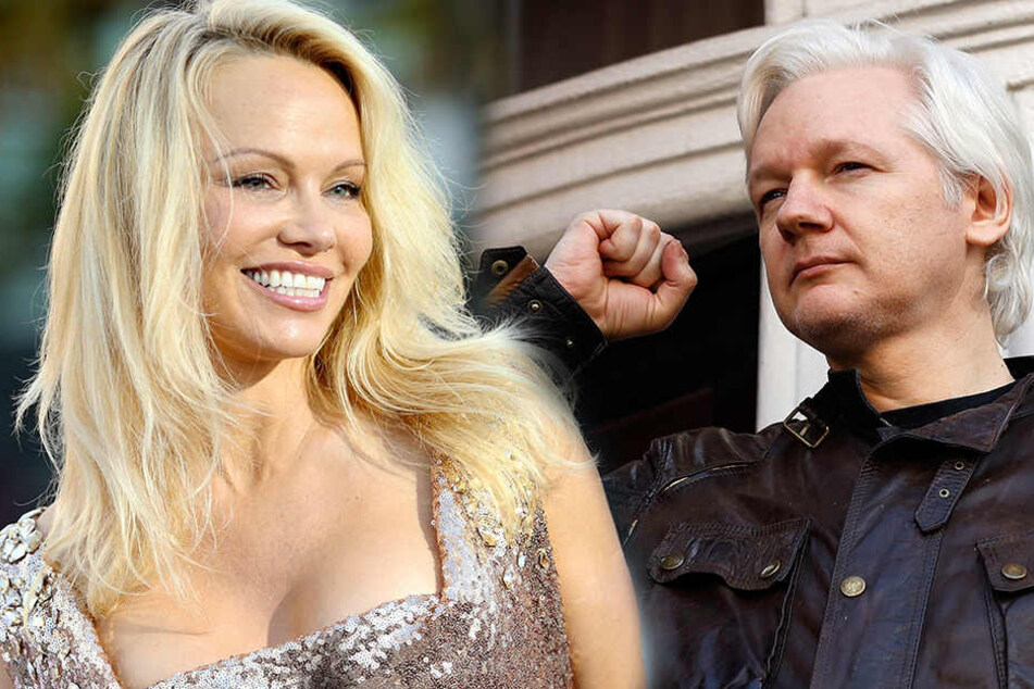 Schon mehrfach soll Pamela Anderson Julian Assange in der ecuadorianischen Botschaft besucht haben.