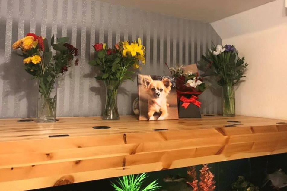 Dieses Abschiedsfoto postete Cara Farrant am Samstag.