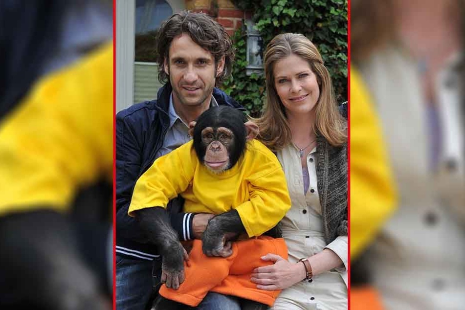 Falk-Willy Wild spielte u.a. mit Ursula Buschhorn und dem Affen Charly in der ZDF-Serie "Unser Charly" mit.