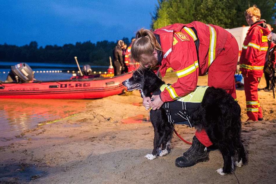 Eine Rettungshundeführerin der DLRG bereitet am 25.06.2017 in Müssen (Schleswig-Holstein) an einem Kiessee ihren Hund für einen Sucheinsatz vor. Ein jugendlicher Schwimmer wird seit dem Abend in dem See vermisst.