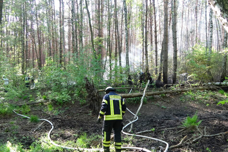 Das Feuer hatte sich auf einer Fläche von rund 2,5 Hektar ausgebreitet.