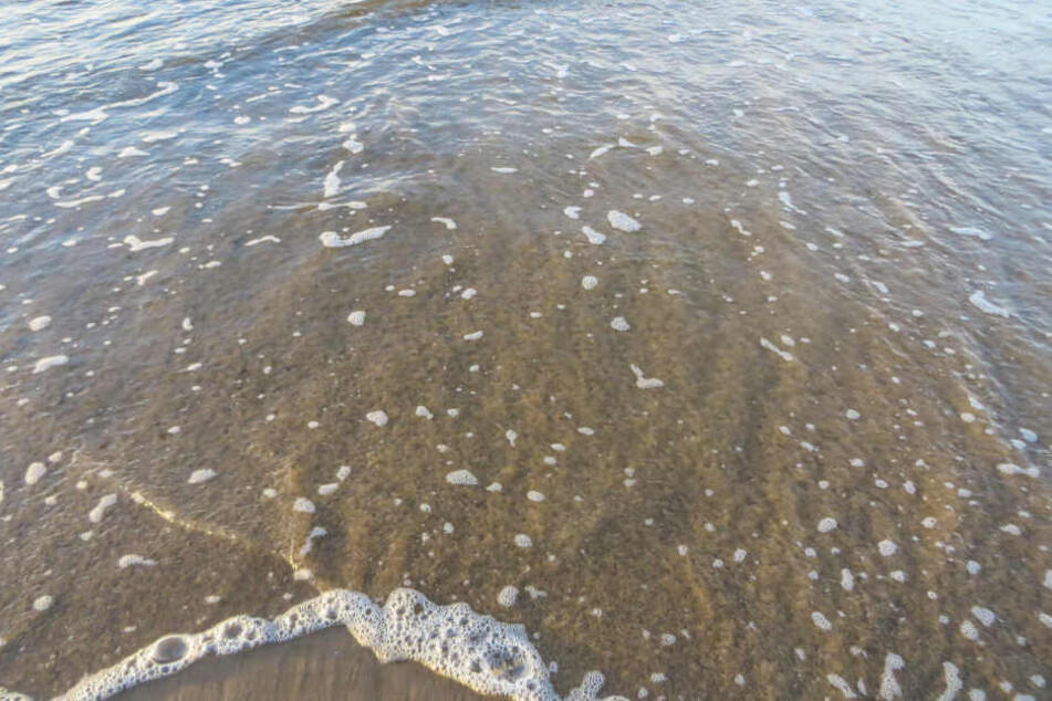 Strand in Florida.