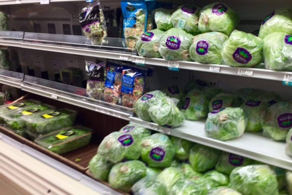Health officials believe the cyclosporiasis outbreak could be connected to iceberg lettuce.