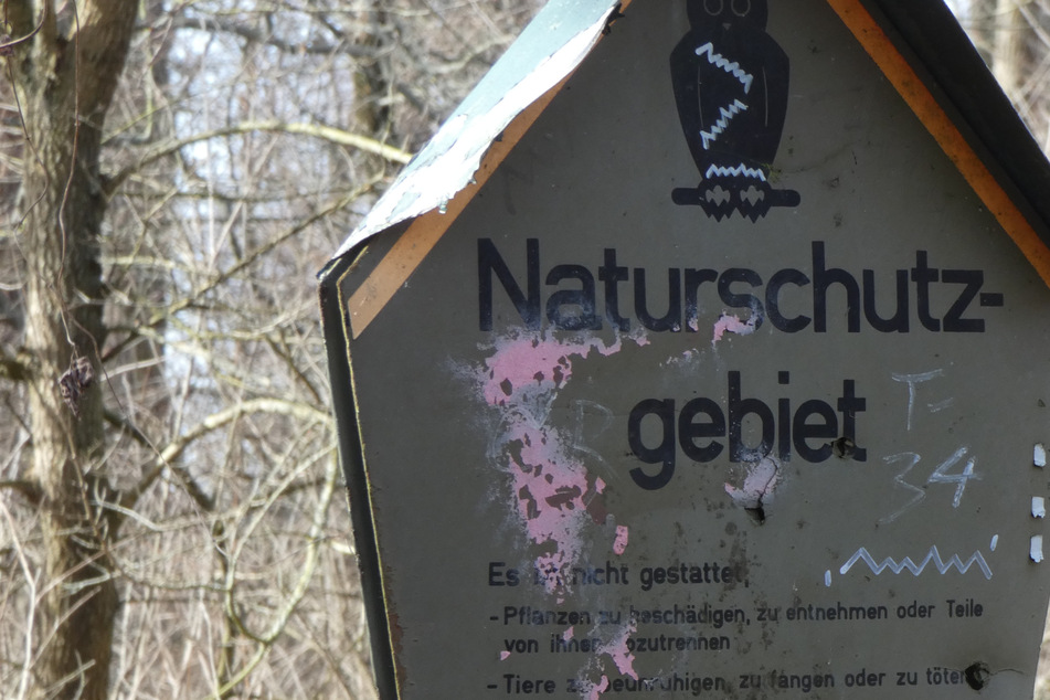 Nimmt Sachsen den Naturschutz nicht ernst? NABU sieht gravierende Versäumnisse
