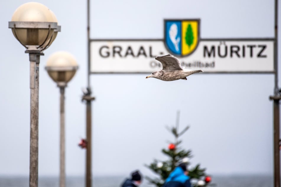 Leiche am Strand von Graal-Müritz entdeckt: Identität geklärt