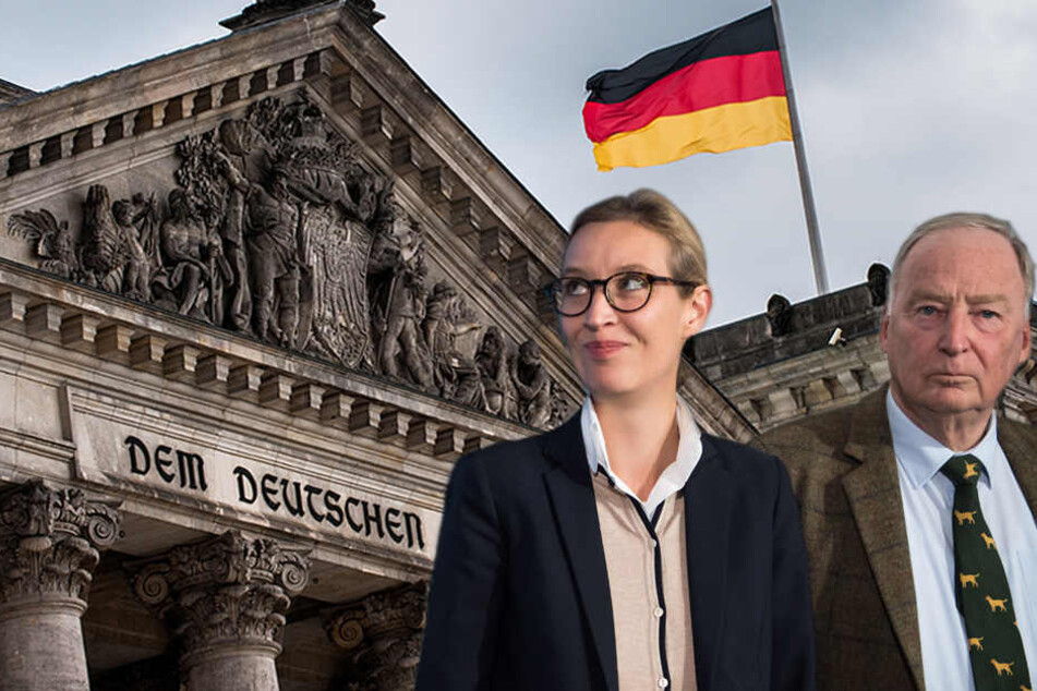 Wird die AfD in den Bundestag einziehen? Aktuelle Umfragen sagen "ja".