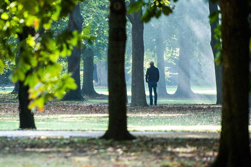 Der per Haftbefehl gesuchte Trinh Xuan Thanh soll im Juli im Tiergarten entführt und nach Vietnam verschleppt worden sein. (Symbolbild)