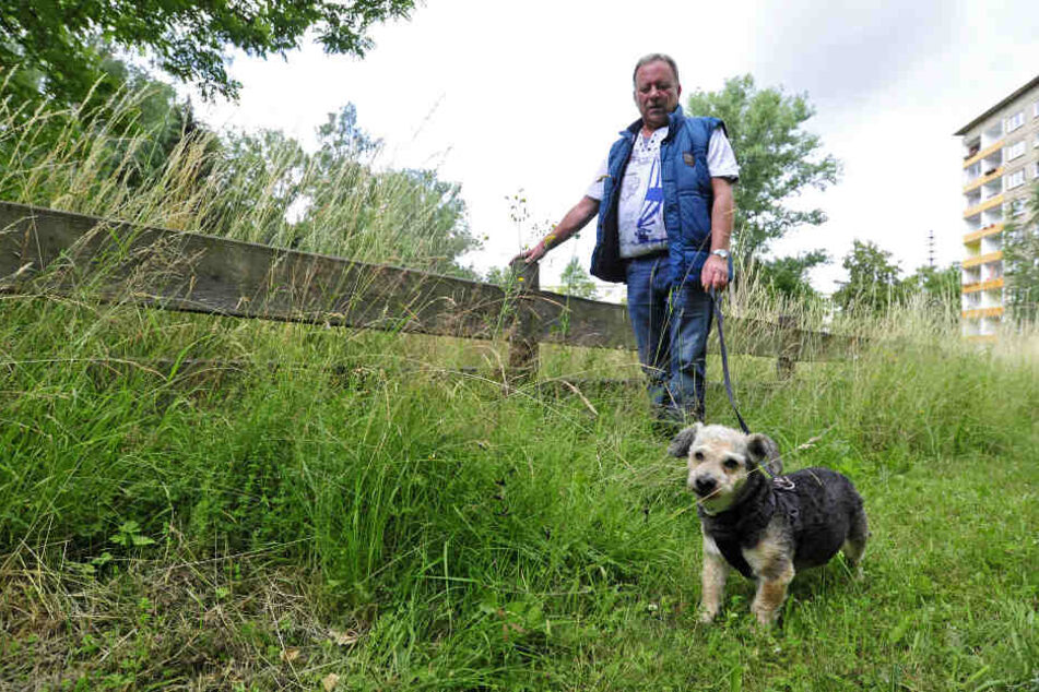 Wolfgang Lorenz (63) kann mit seinem kleinen Mischling Wuschel (13) nicht mehr auf die Hundewiese in Gablenz, da das Gras über einen Meter hoch ist.