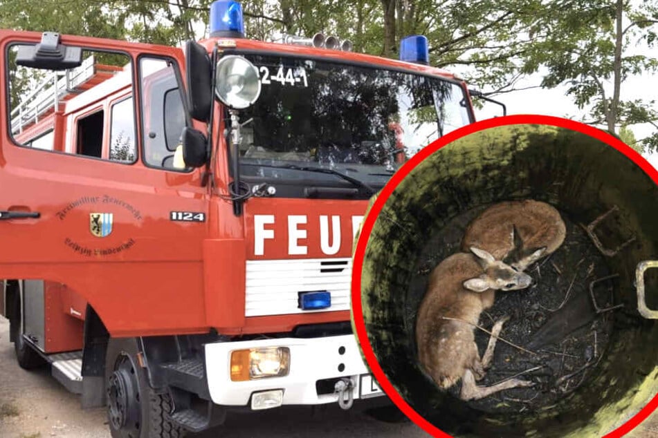 Die Kameraden rückten aus, um die beiden Kitze aus dem Schacht zu befreien.