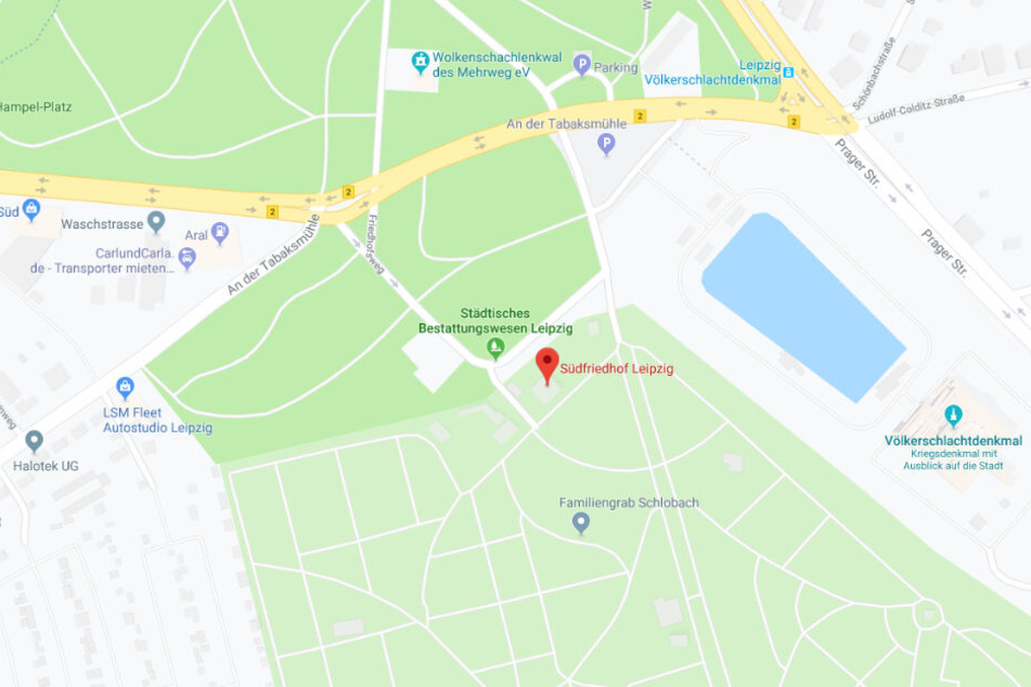 Um die Verkehrssicherheit am Friedhof zu gewähren, müssen etliche Bäume und Gehölze beschnitten werden.