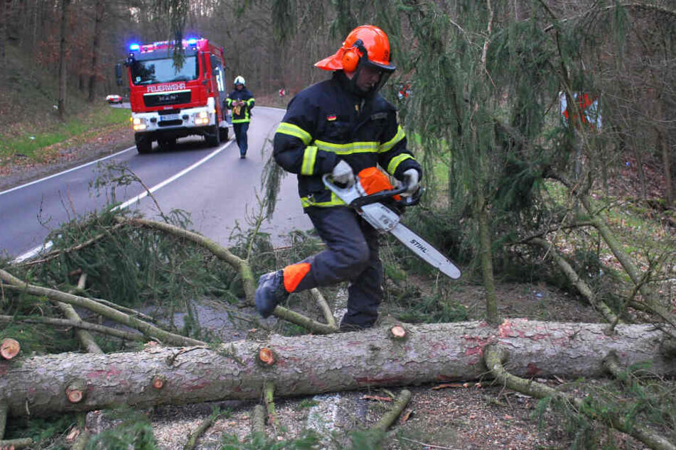 Wälder in NRW sollten aufgrund des Sturms und seiner Folgen derzeit gemieden werden.