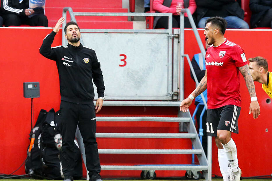 Alles Gestikulieren, alle Zurufe halfen nichts - sehr zum Ärger von Coach Cristian Fiel verfielen die Dynamos bei der Pleite in Ingolstadt wieder in alte Muster.