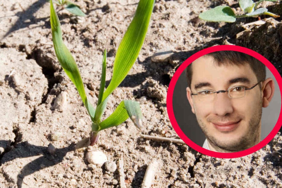 Meinung zum Klimawandel: Radikale Lösungen sind notwendig