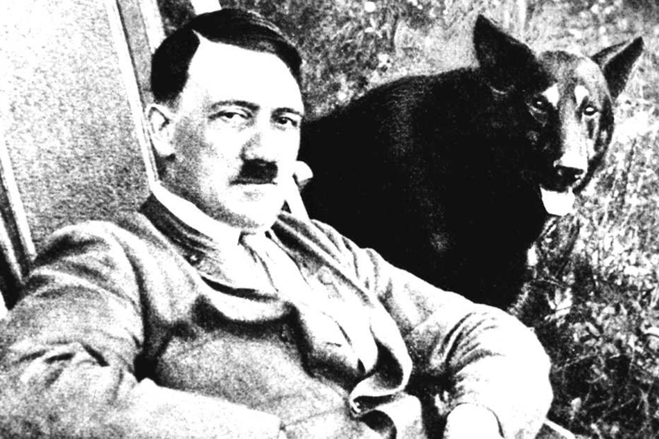 Eine Film-Aufnahme zeigt Adolf Hitler neben seinem Hund.