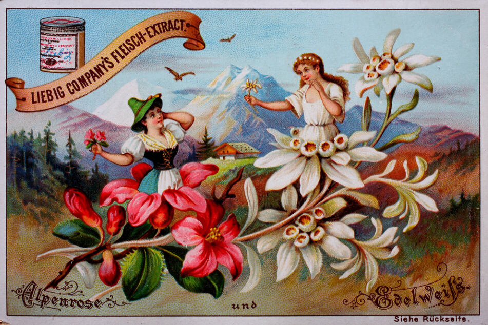 Mit kitschig wirkenden Blumenmotiven wurde der Muttertag vor 100 Jahren in Deutschland beworben.
