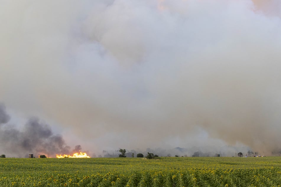 In der Gohrischheide brennen laut Angaben der Feuerwehr eine Fläche von rund 1000 Hektar Wald.