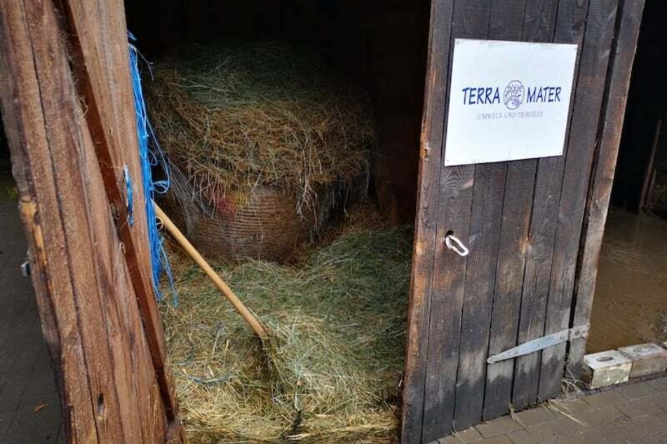 In Eschweiler wurde ein schuleigener Tierhof - ein Projekt von Terra Mater - von der Flutkatastrophe getroffen.