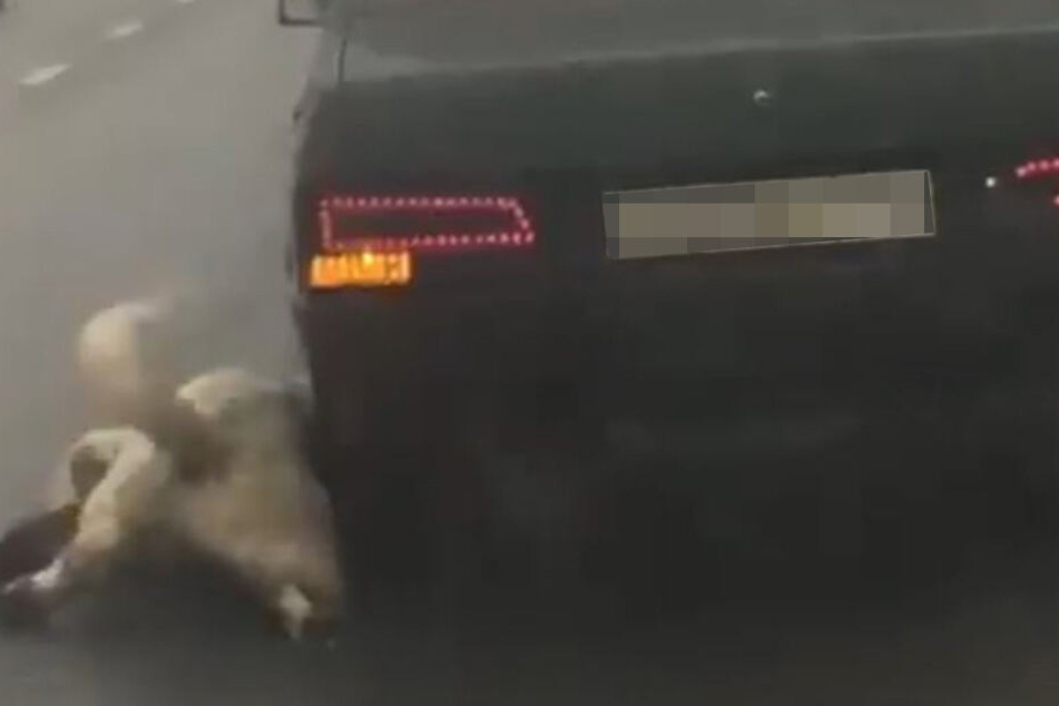 Als der Hund zusammenbrach griff der Fahrer, der alles filmte, ein.