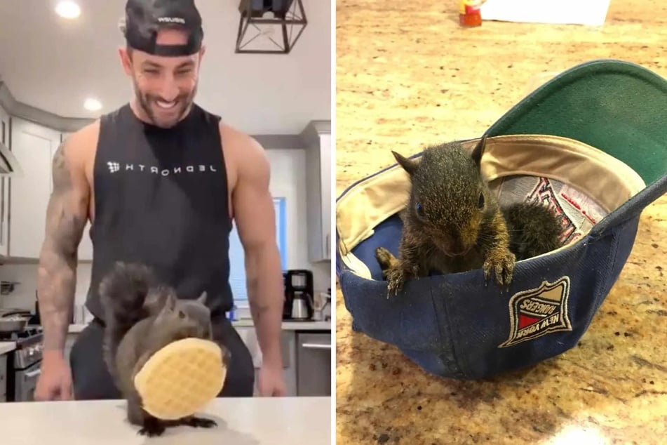 Internet celebrity Peanut the squirrel was euthanized by New York state recently, and now the animal's owner Mark Longo is speaking out about the ordeal.