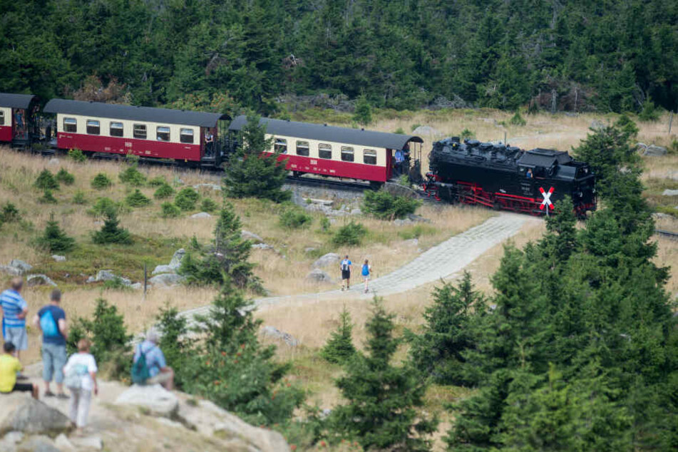 Wegen Sturmböen haben die Harzer Schmalspurbahnen den Zugverkehr zum Brocken eingestellt (Symbolbild).