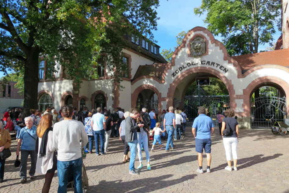 Im Zoo Leipzig hat es am Mittwoch einen Todesfall gegeben.