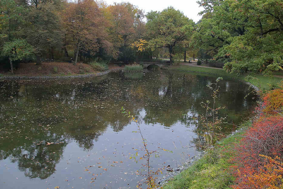 Die Uferbereiche der Kanalkette zwischen Carolasee und Herkulesallee im Großen Garten sollen saniert werden.