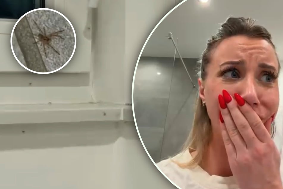 Hanni Hase (29) zeigt in ihrer Wohnung, wie sich die Spinnen mittlerweile in mehreren Räumen ausgebreitet haben.