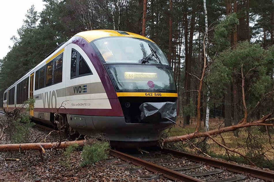 Immer wieder
ist die
Städtebahn
von umstürzenden
Bäumen betroffen.