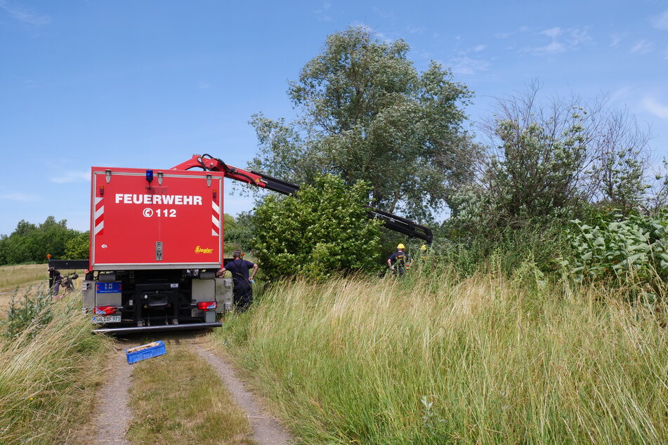 Mit einem Wechsellader und einem Kran rückten die Kameraden der Berufsfeuerwehr Halle nach Seeben an.