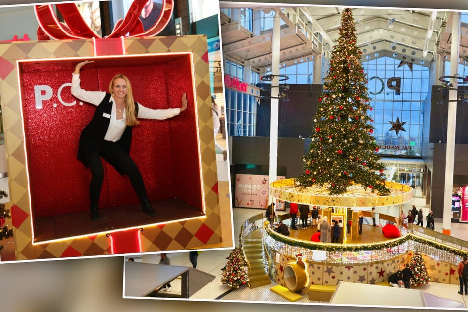 Leipzig: 15 Meter hoher Spezialbaum: Sächsisches Shopping-Center überrascht mit neuer Attraktion