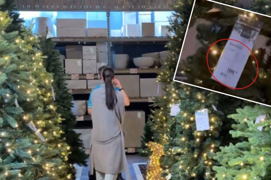 Für den Baum hat Amira (33) stattliche 2000 Euro bezahlt.