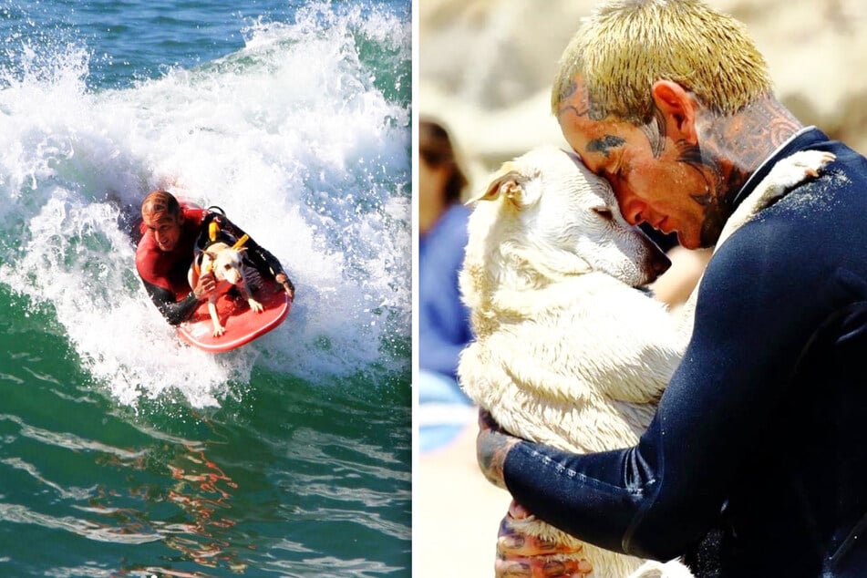 Abandoned dog tries surfing on for size with new forever friend!