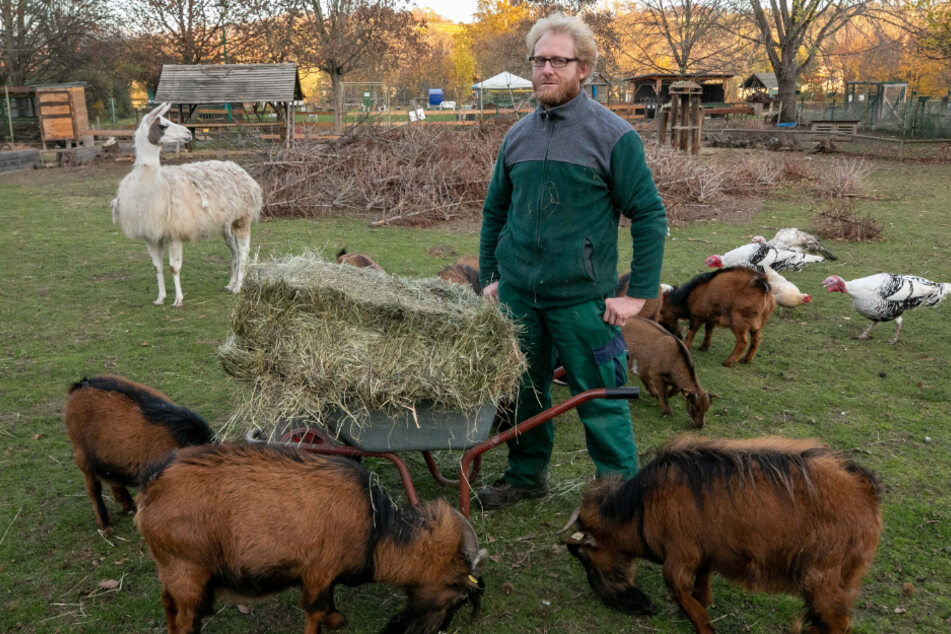 Überglücklich! Nach dem TAG24-Bericht erhielt Tierparkchef Sven Näther (44) säckeweise Futter und auch viele Geldspenden.