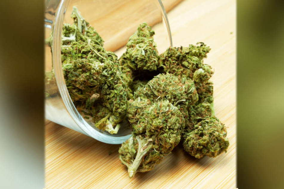 In einer Chemnitzer Wohnung wurde ca. 822 Gramm Marihuana sichergestellt.