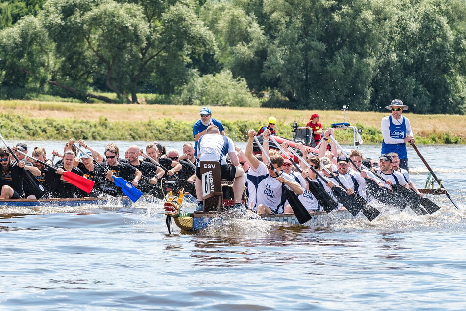 Beim Drachenbootrennen auf der Elbe ist vor allem Teamgeist gefordert.