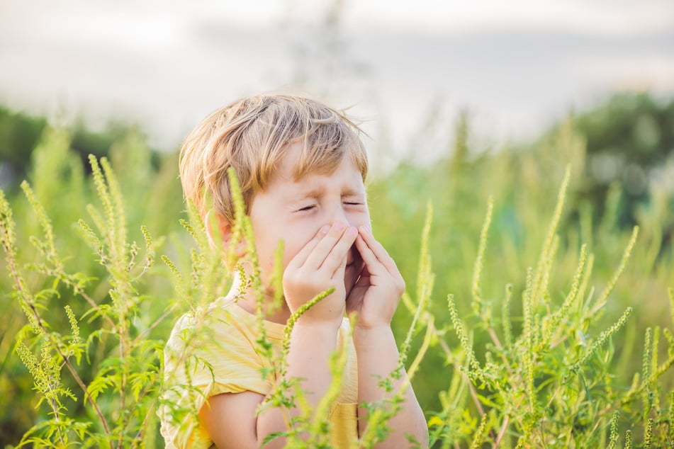 Die Zahl der Kinder, die unter Allergien wie Heuschnupfen leiden, steigt.