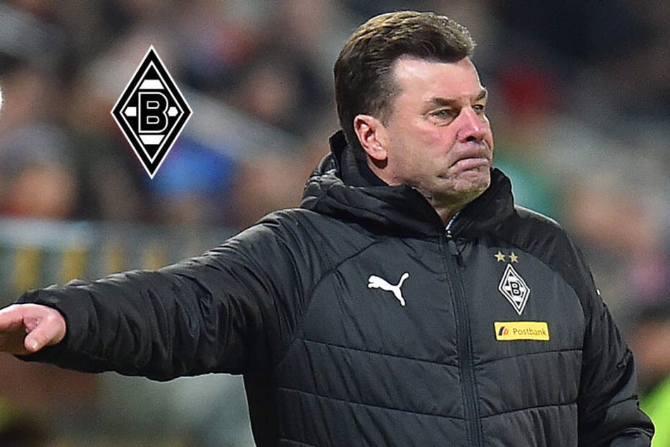 Trainer Borussia Mönchengladbach Trainer Borussia Mönchengladbach