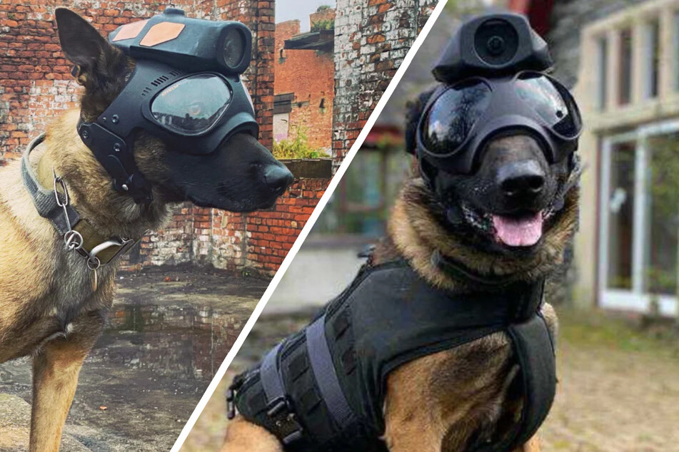 Robodog geht auf Streife: Polizeihunde bekommen Hightech Rüstung
