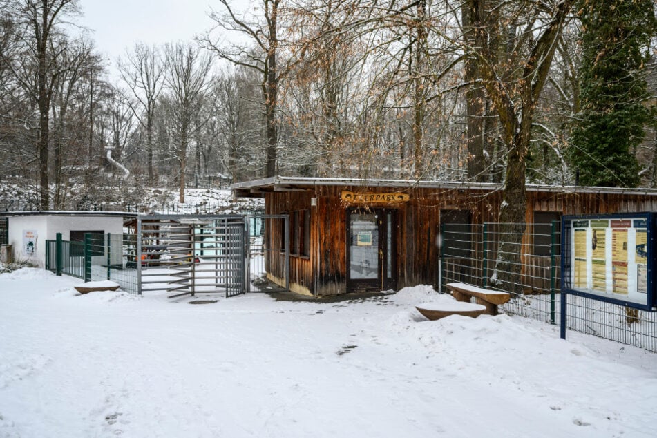 Die Hygienephase des Tierparks dauert drei Wochen. Ob danach der Normalbetrieb wieder aufgenommen werden kann, ist noch unklar.