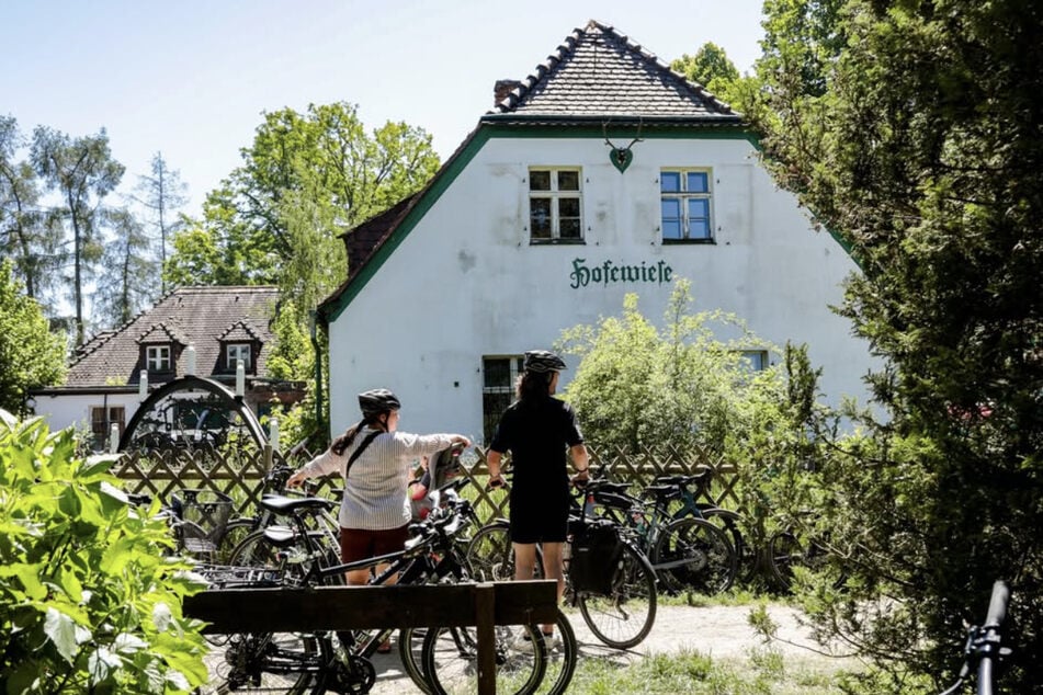 Zum zehnjährigen Jubiläum des Hofewiese-Biergartens wird zum Erdbeerfest geladen.