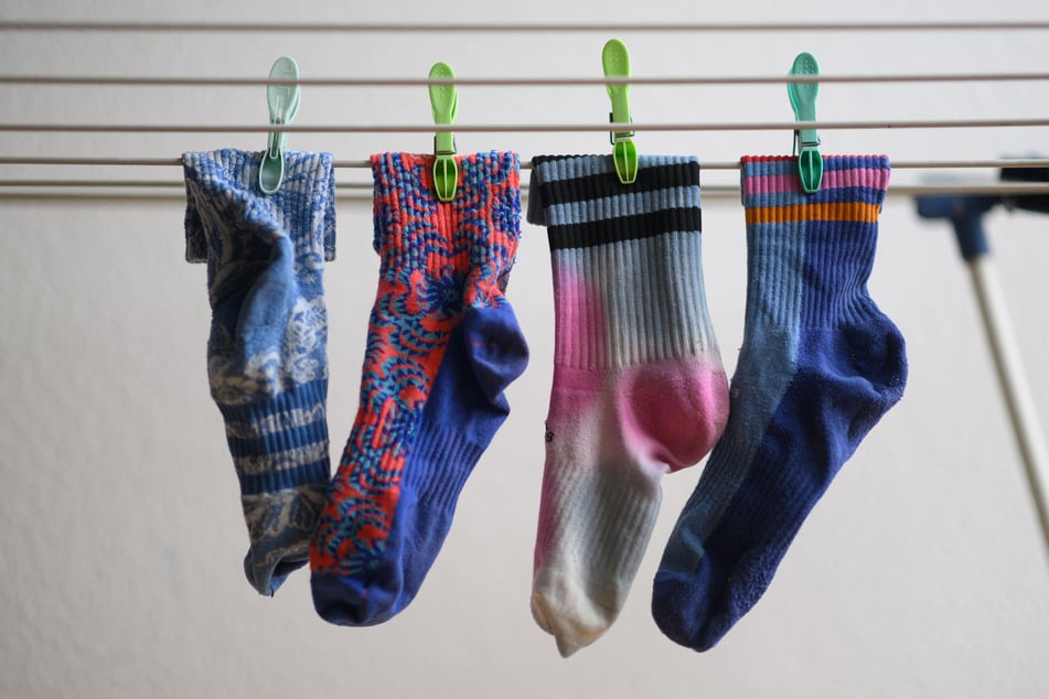 Die Schildkröten steckte Wei Qiang Lin provisorisch in ein Paar Socken, bevor er sie um die ganze Welt schickte. (Symbolfoto)