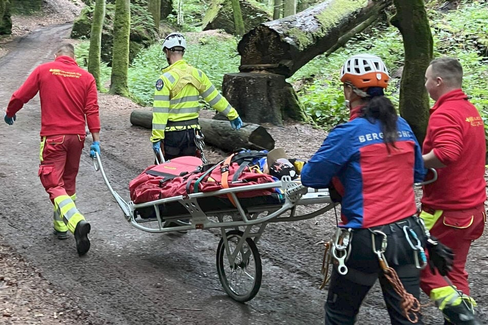 Hund abgestürzt, Mann in Felsspalte hängen geblieben: Bergwacht muss mehrfach ausrücken