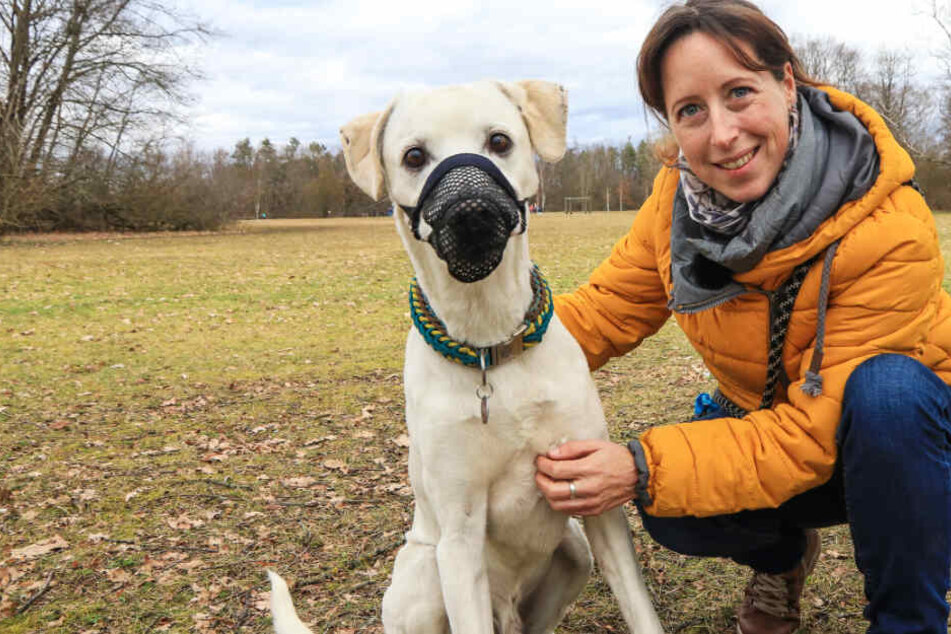 Nadine S. versucht alles, um Camino zu schützen: Ein Giftköderschutznetz könnte sein Leben retten.