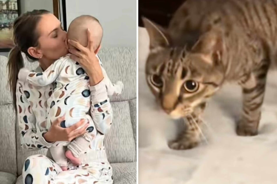 Noel the cat is especially caring when it comes to her owner Taylor Mickle and new baby Michael.