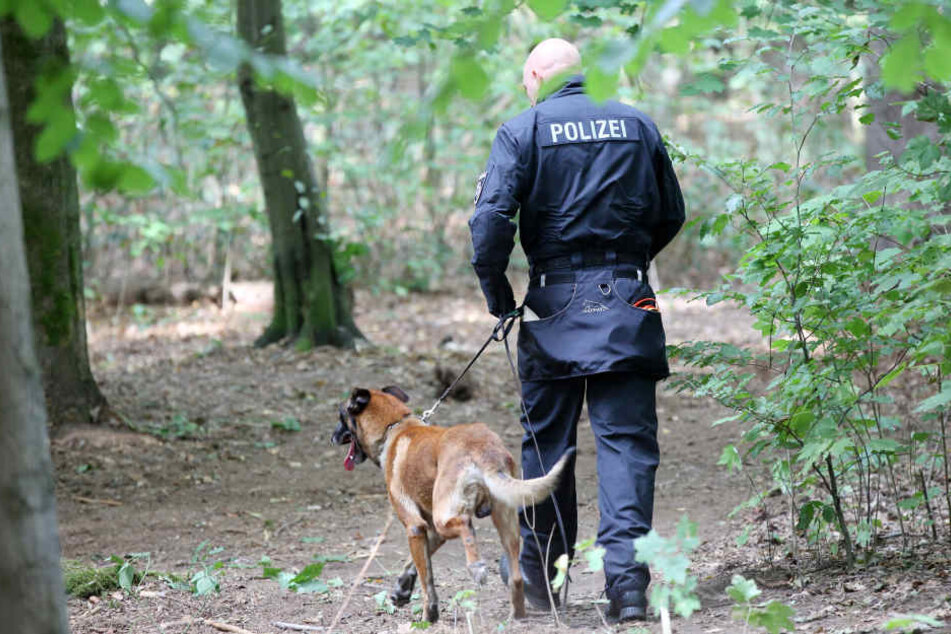 Mit einem Spürhund suchte die Polizei das Waldstück ab. (Symbolbild)