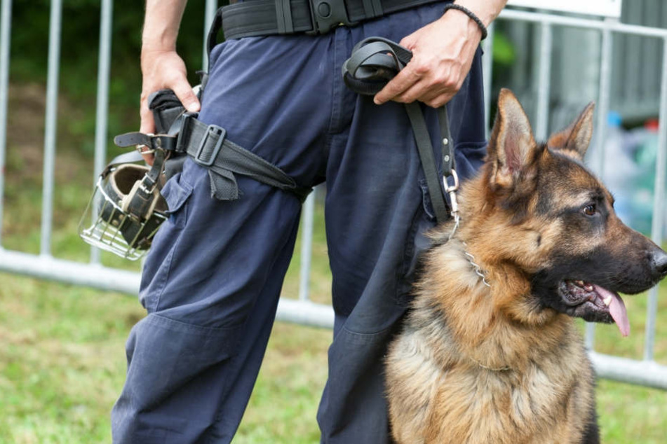 Der Beamte lies den Polizeihund auf die Täter los. (Symbolbild)