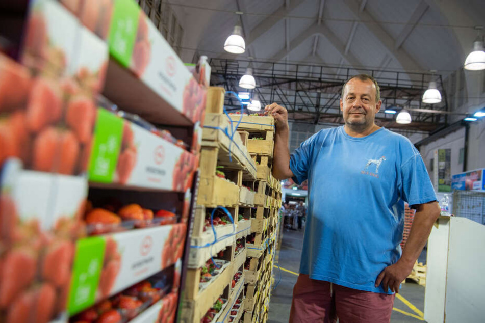 Michael Widmann, Geschäftsführer der Widmann Früchte Großhandels GmbH, steht in Halle 1 vom Großmarkt München an Erdbeerkisten.
