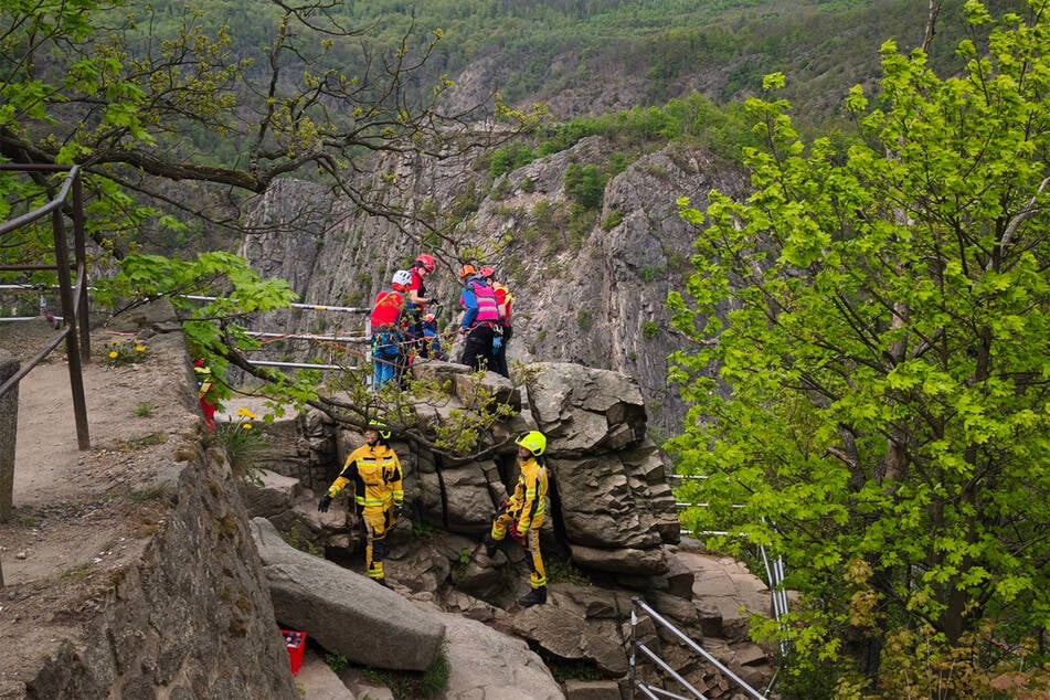 Die Bergwacht, der Rettungsdienst und die Feuerwehr konnten den Rentner erfolgreich bergen.